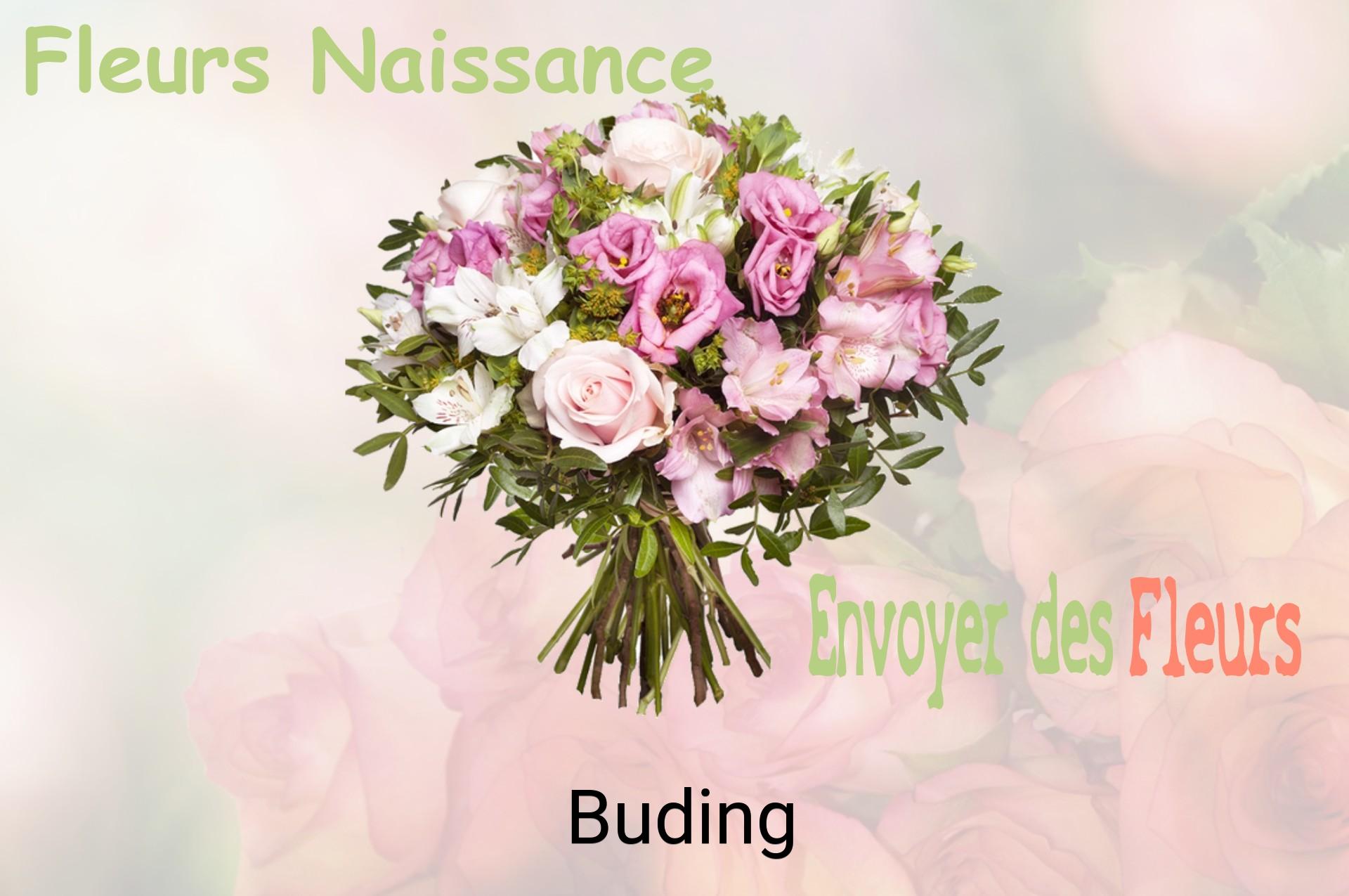 Bouquet de fleurs de naissance livré à Buding